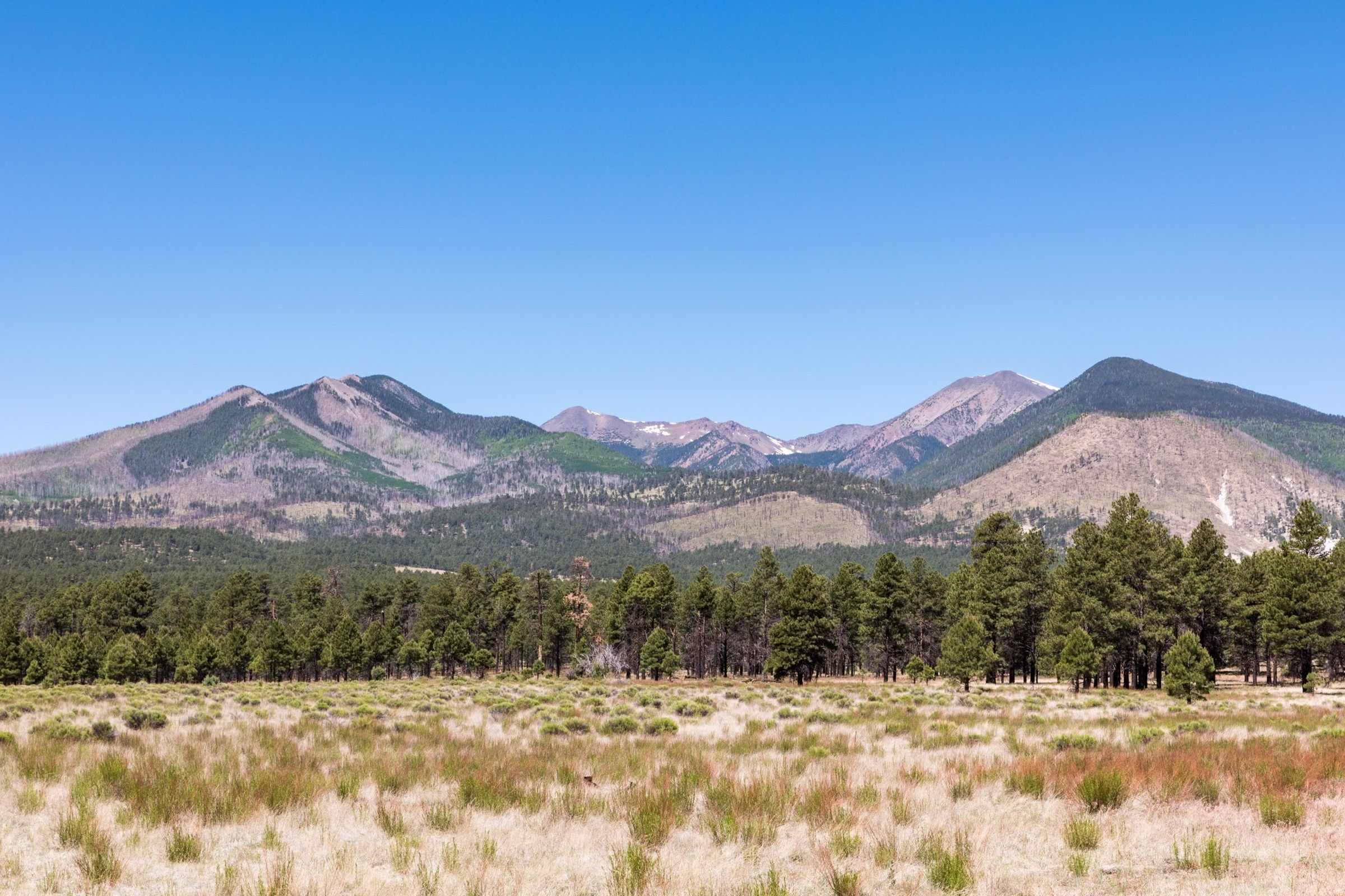 San Francisco Peaks near Flagstaff, Arizona